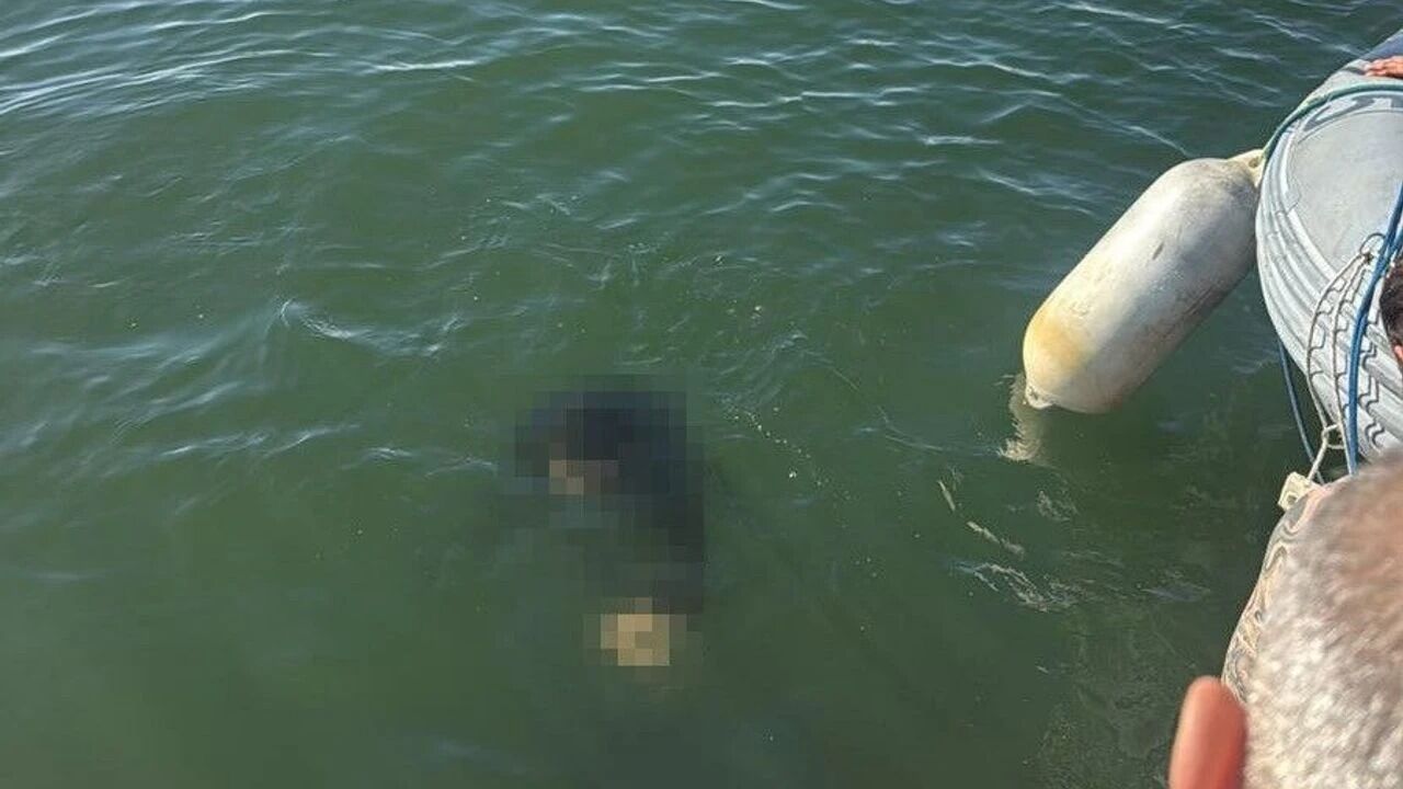 İzmir'de Akülü Sandalyesiyle Denize Düşmüştü! Acı Haber Geldi