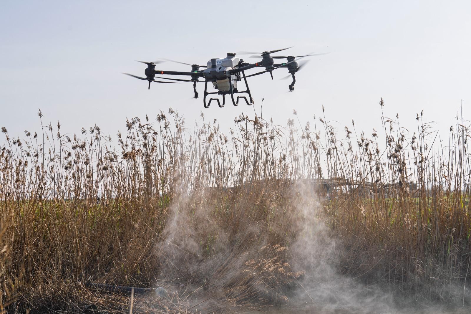 İzmir’de Sivrisinekle Mücadelede Teknoloji Sahaya Indi (1)