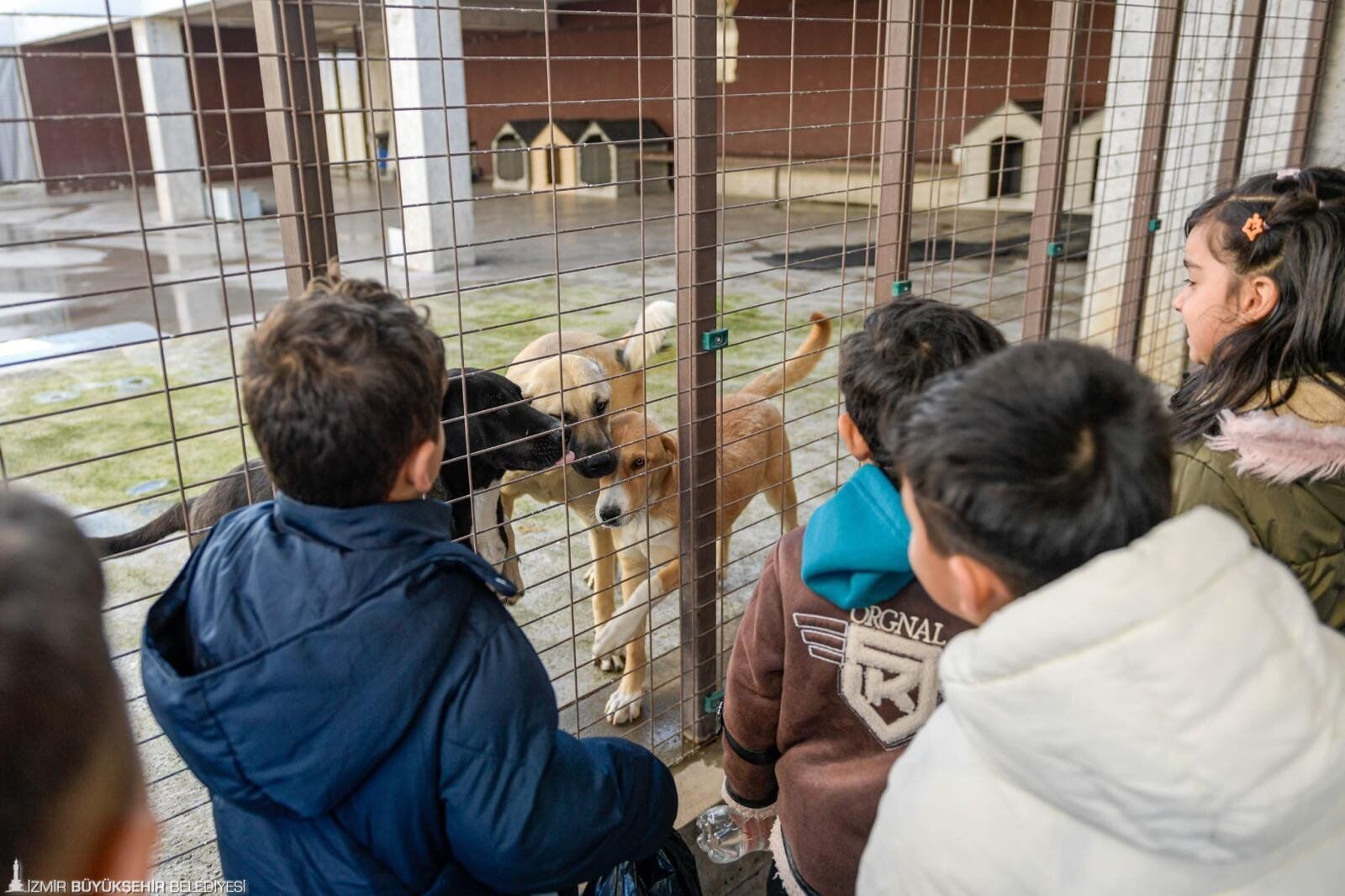 İzmir’de “Tek Sağlık” Seferberliği 222