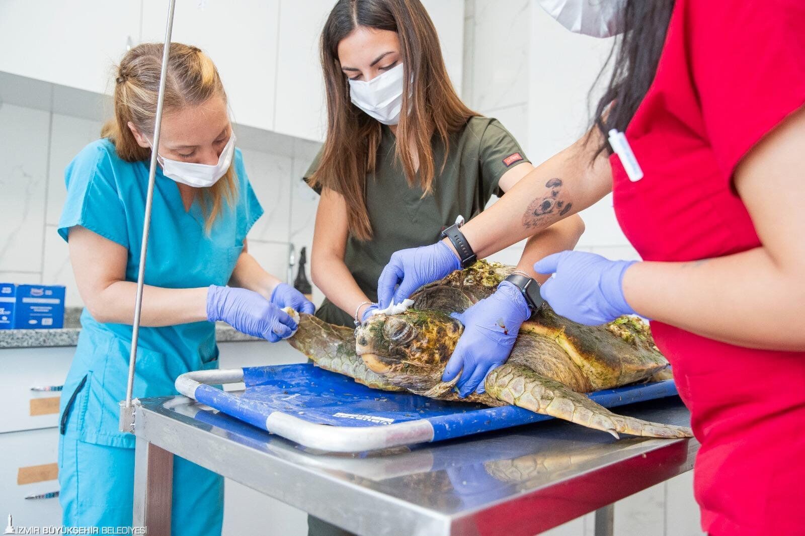 İzmir’de “Tek Sağlık” Seferberliği 55