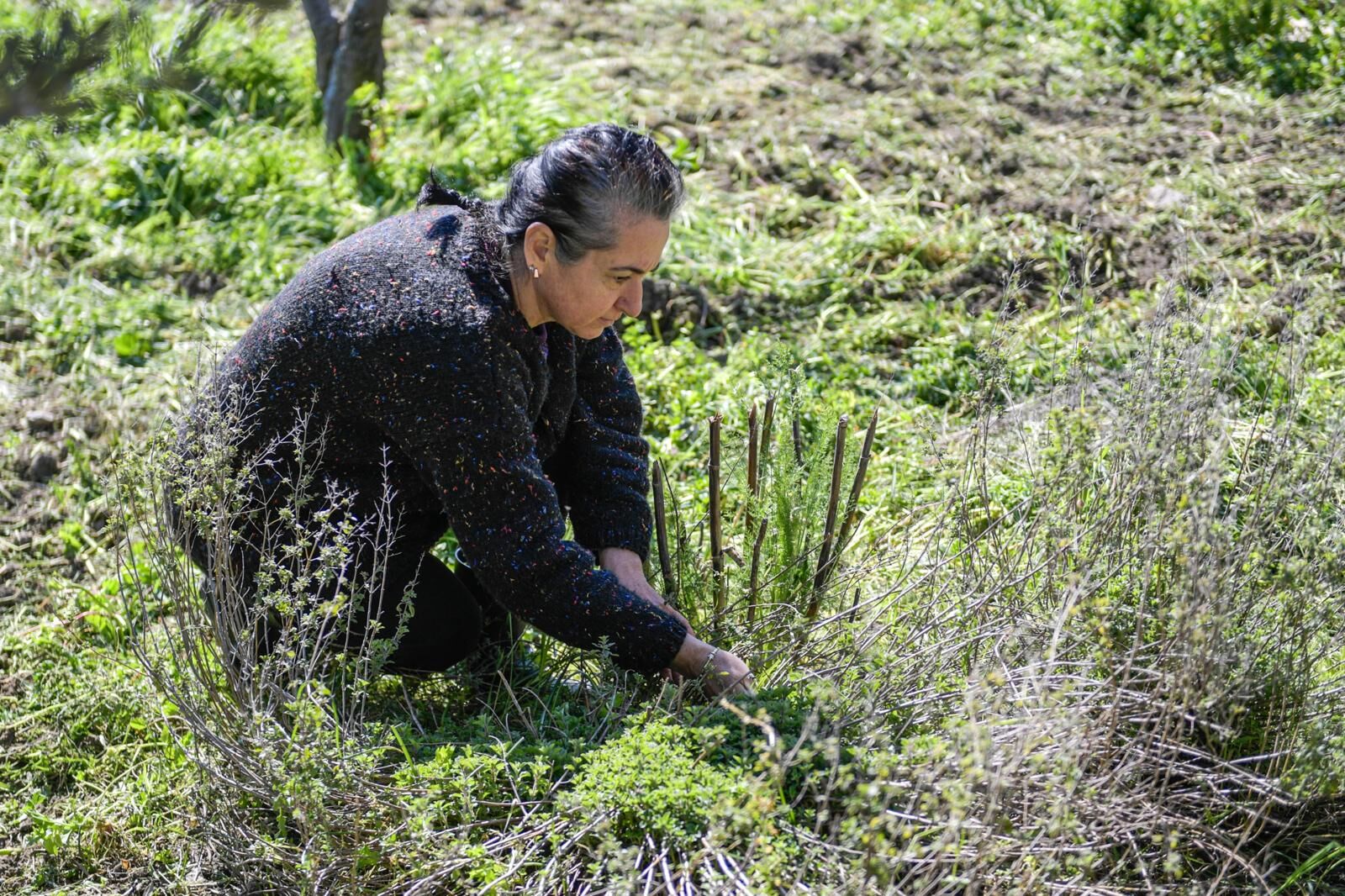 İzmir'deki Kurs Hayatını Değiştirdi Bahçede Üretime Başladı! (2)