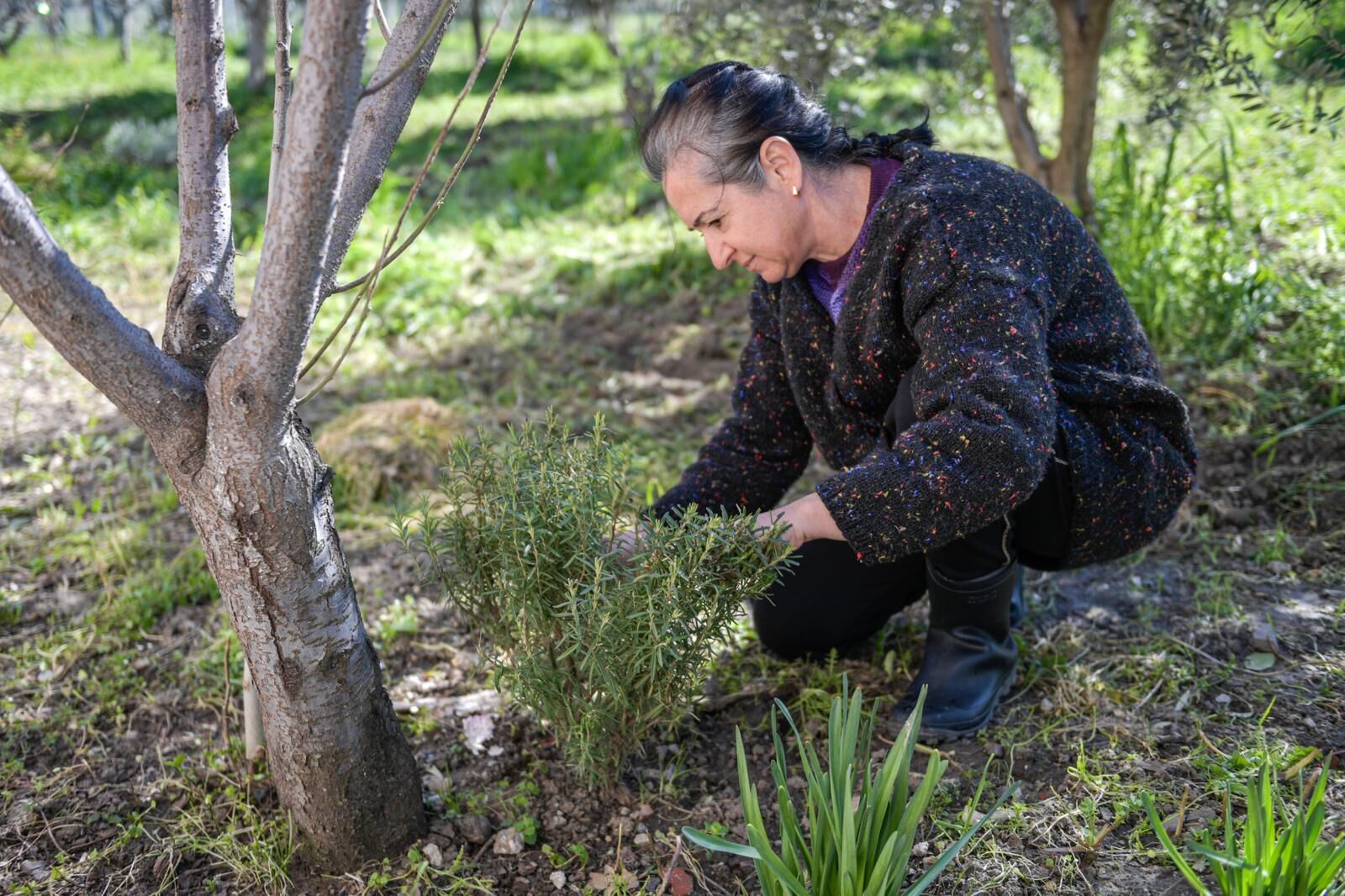 İzmir'deki Kurs Hayatını Değiştirdi Bahçede Üretime Başladı! (5)