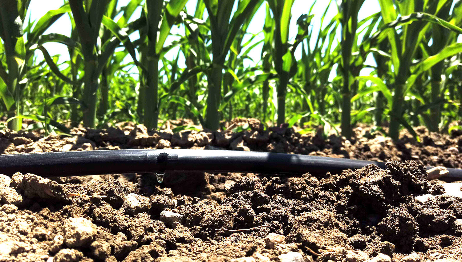 İzmir’in Suyuna Sahip Çıkan Dsi̇ Yeni Yatırımlarını Duyurdu (2)