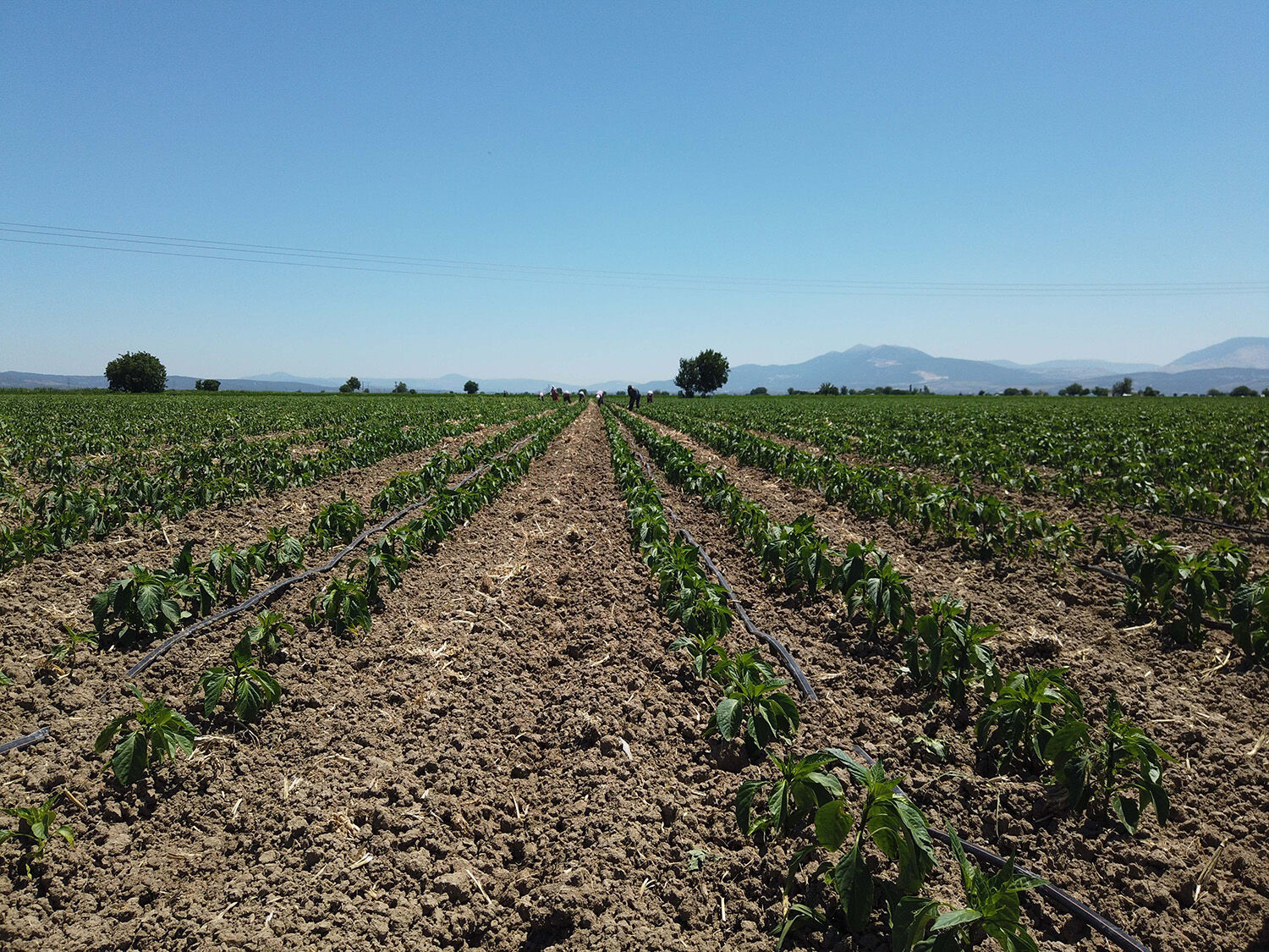 İzmir’in Suyuna Sahip Çıkan Dsi̇ Yeni Yatırımlarını Duyurdu (5)