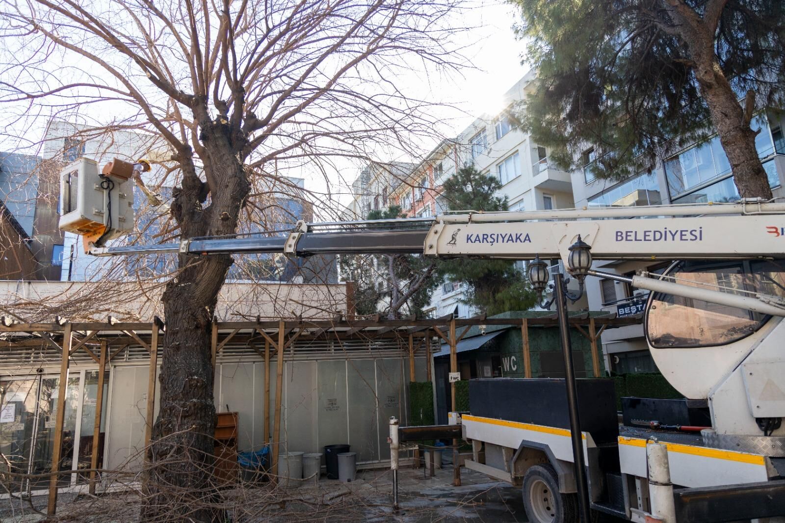 Karşıyaka’da Budama Seferberliği Başladı (5)