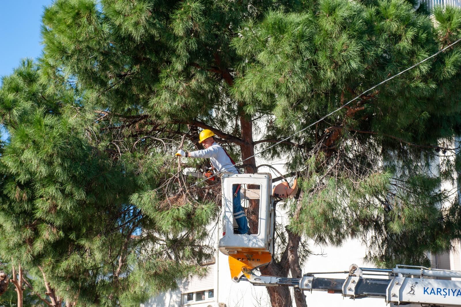 Karşıyaka’da Budama Seferberliği Başladı (9)