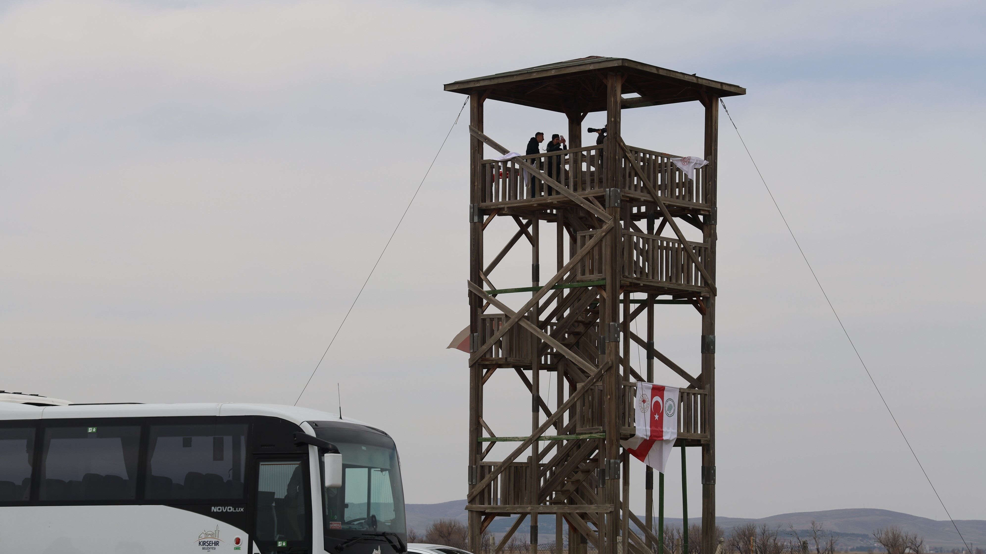 Kırşehir Seyfe Gölü’nde Flamingo Şöleni (1)-1