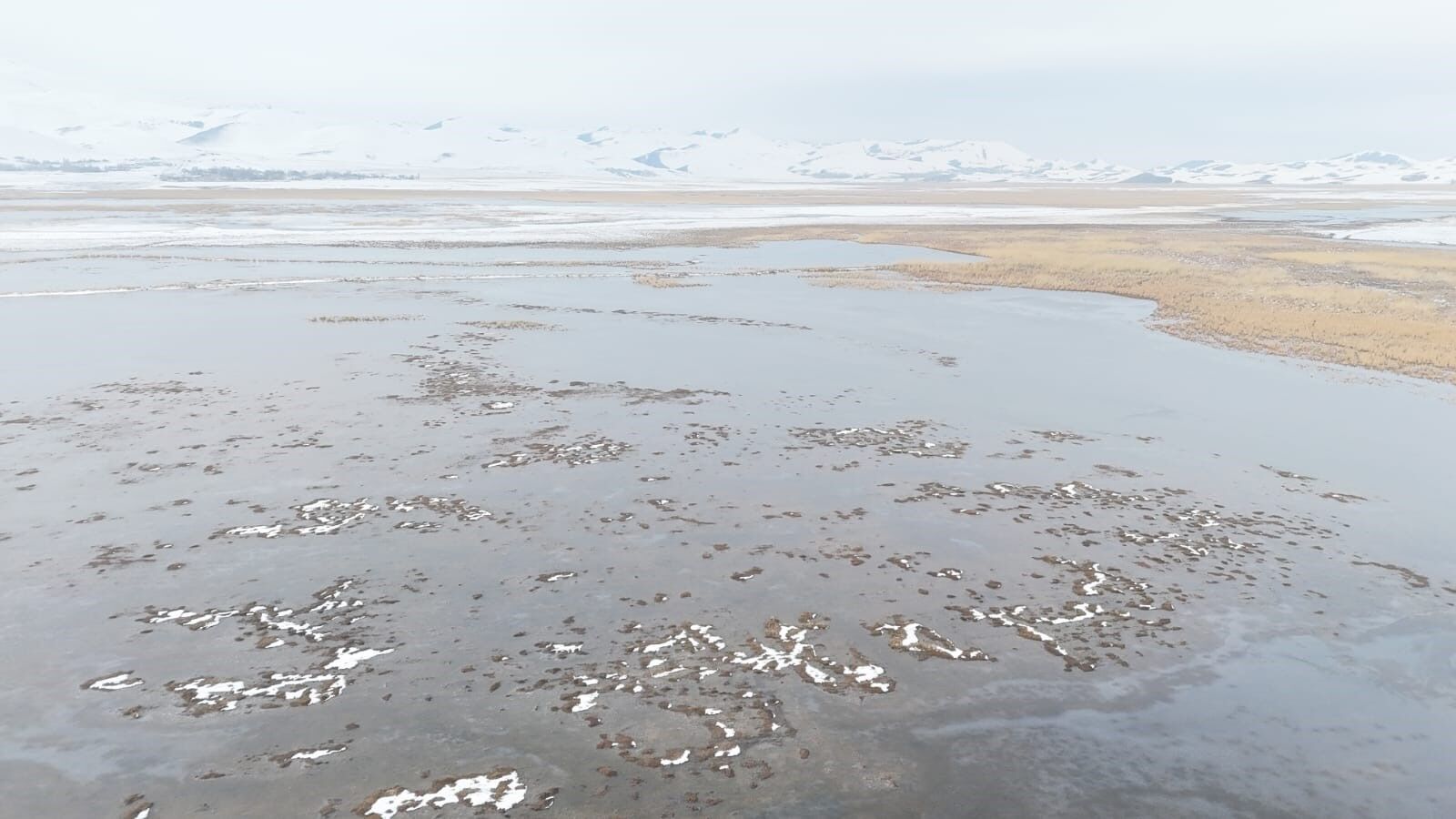 Sarısu Sazlıklarında Kış Manzarası Büyülüyor (3)