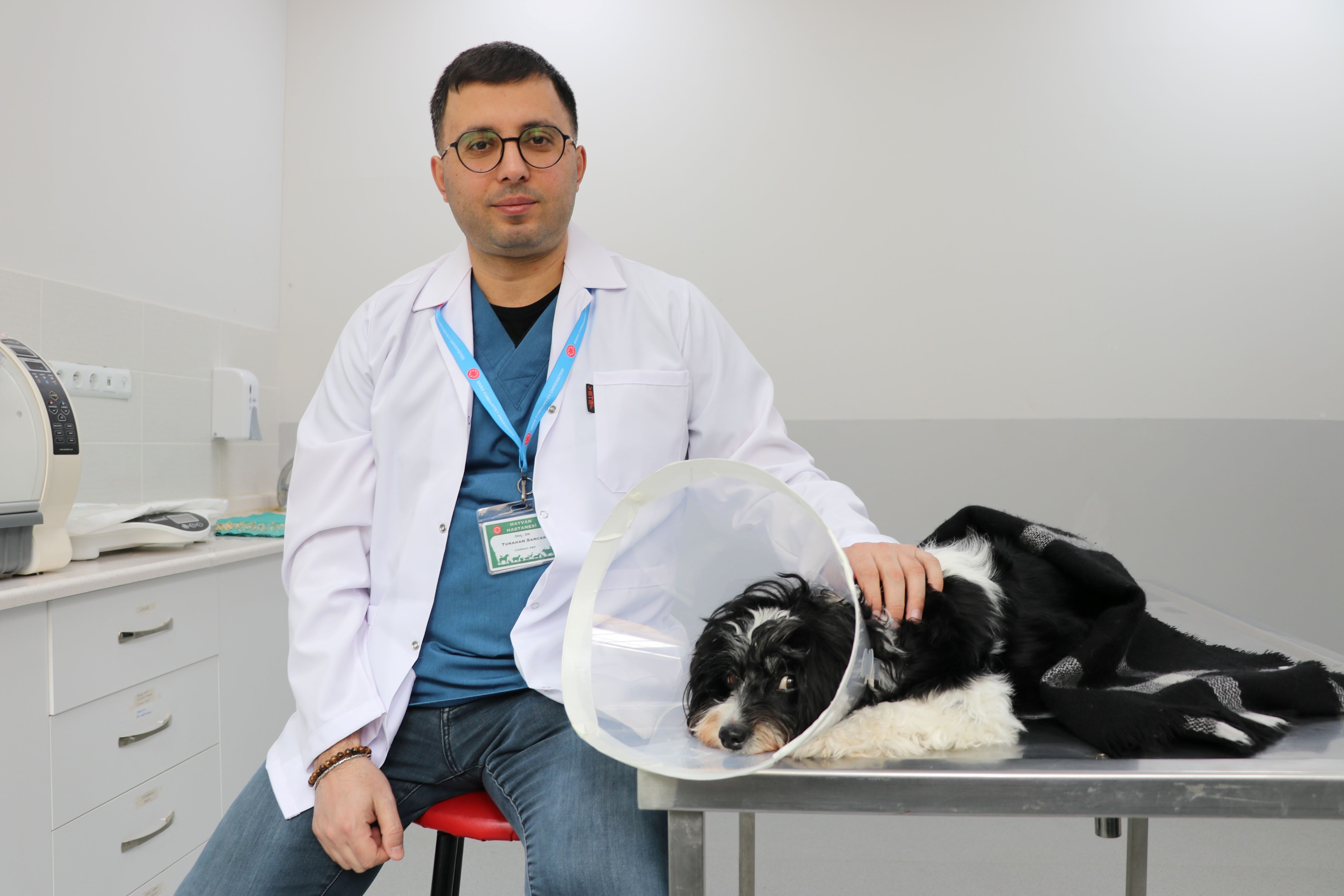 Şaşırtan Operasyon Köpeğin Karnından 140 Taş Çıkarıldı (2)