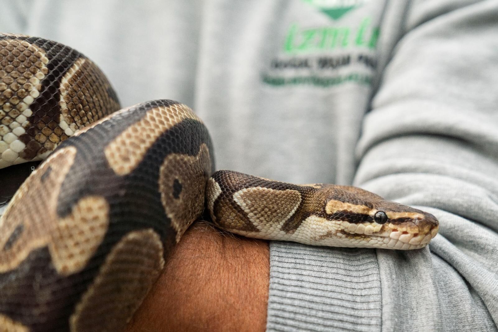 23 Nisan Ücretsiz Aktivite (12)