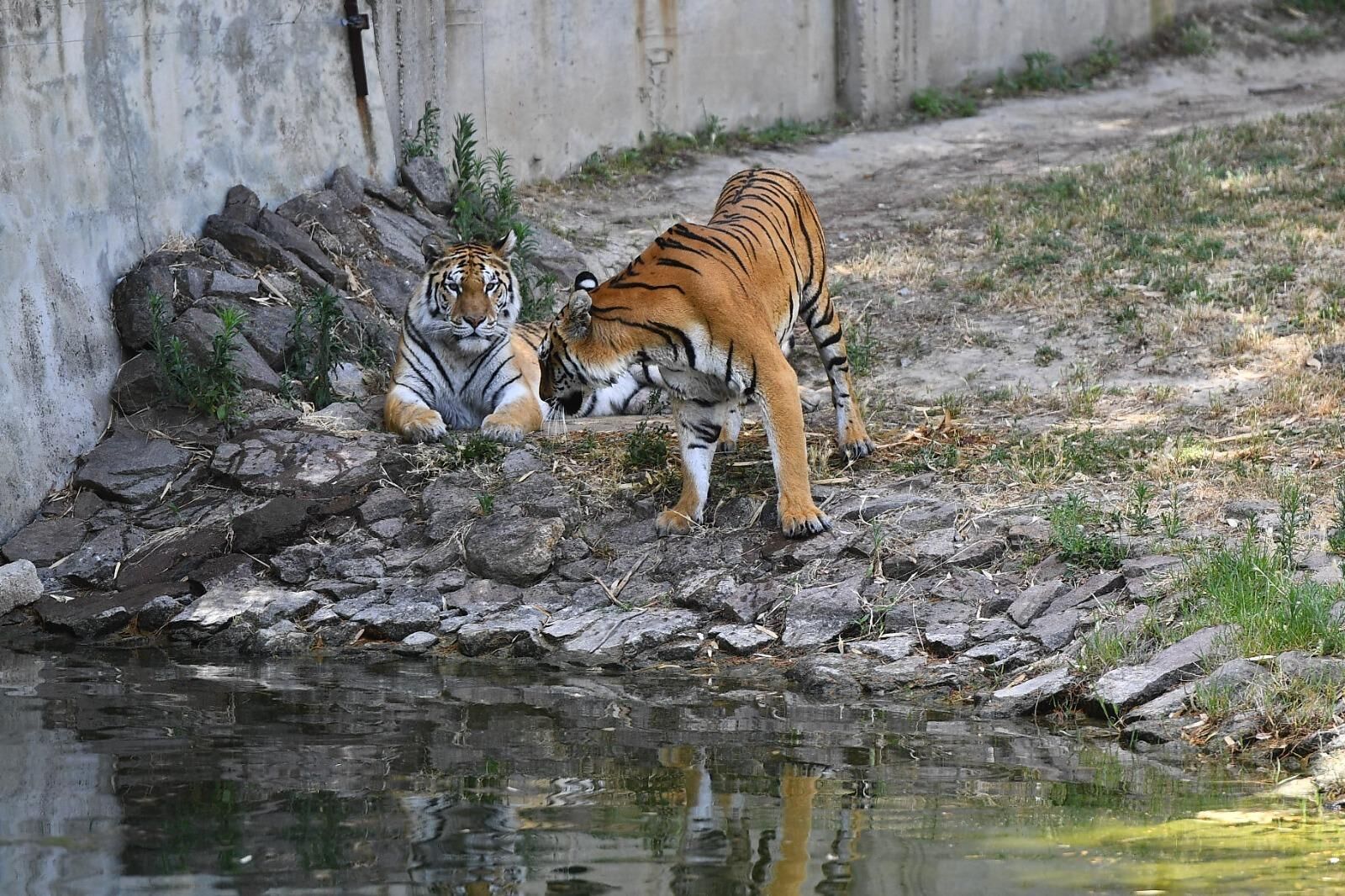 23 Nisan Ücretsiz Aktivite (7)