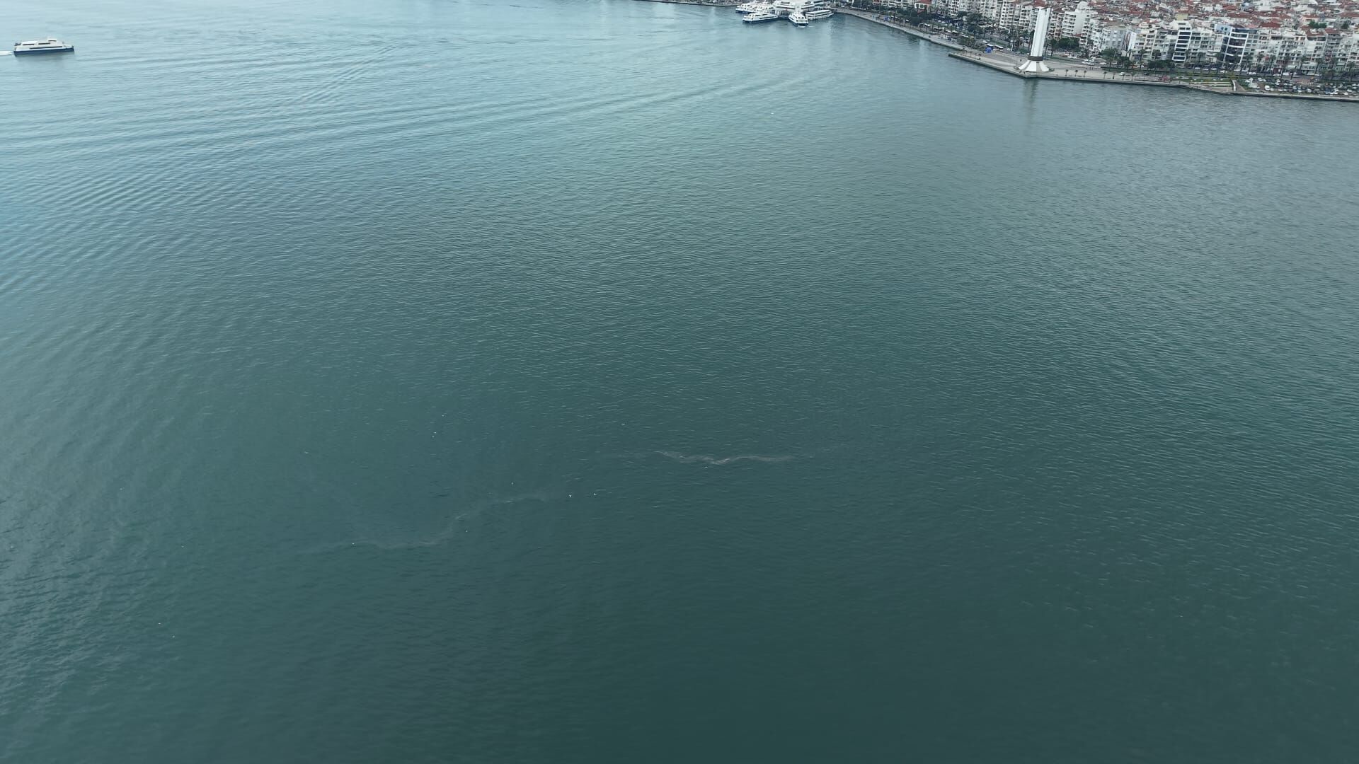 “Sistematik çevre ihlali endişe veriyor”-1