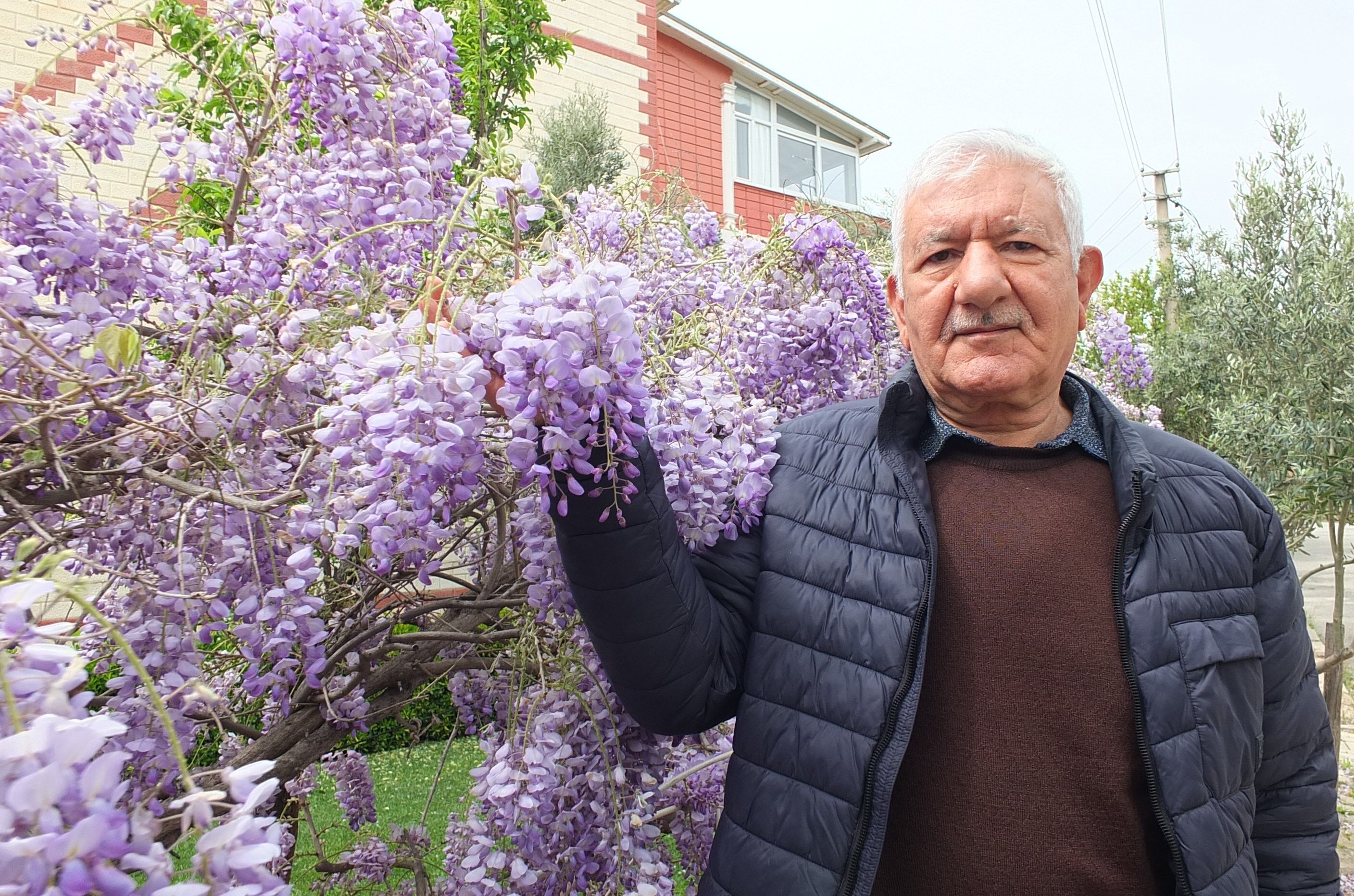 Balıkesir’de Bahar Mor Renge Büründü (1)