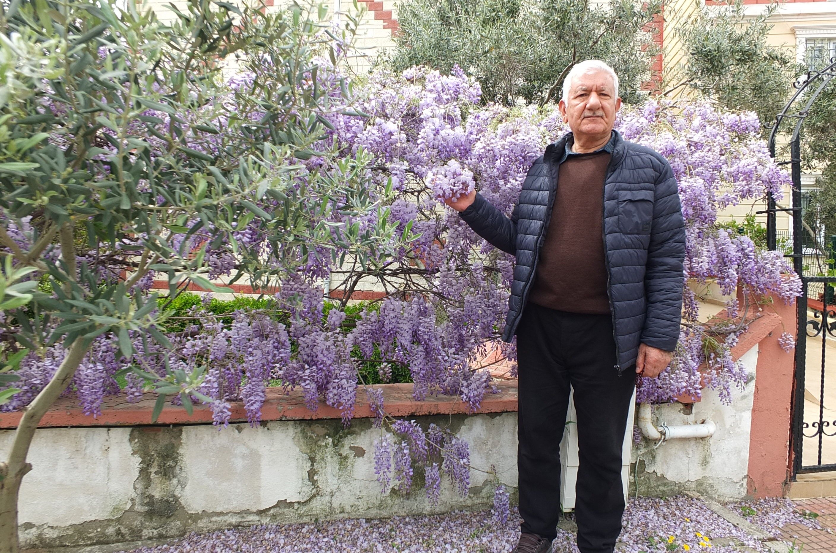 Balıkesir’de Bahar Mor Renge Büründü (3)