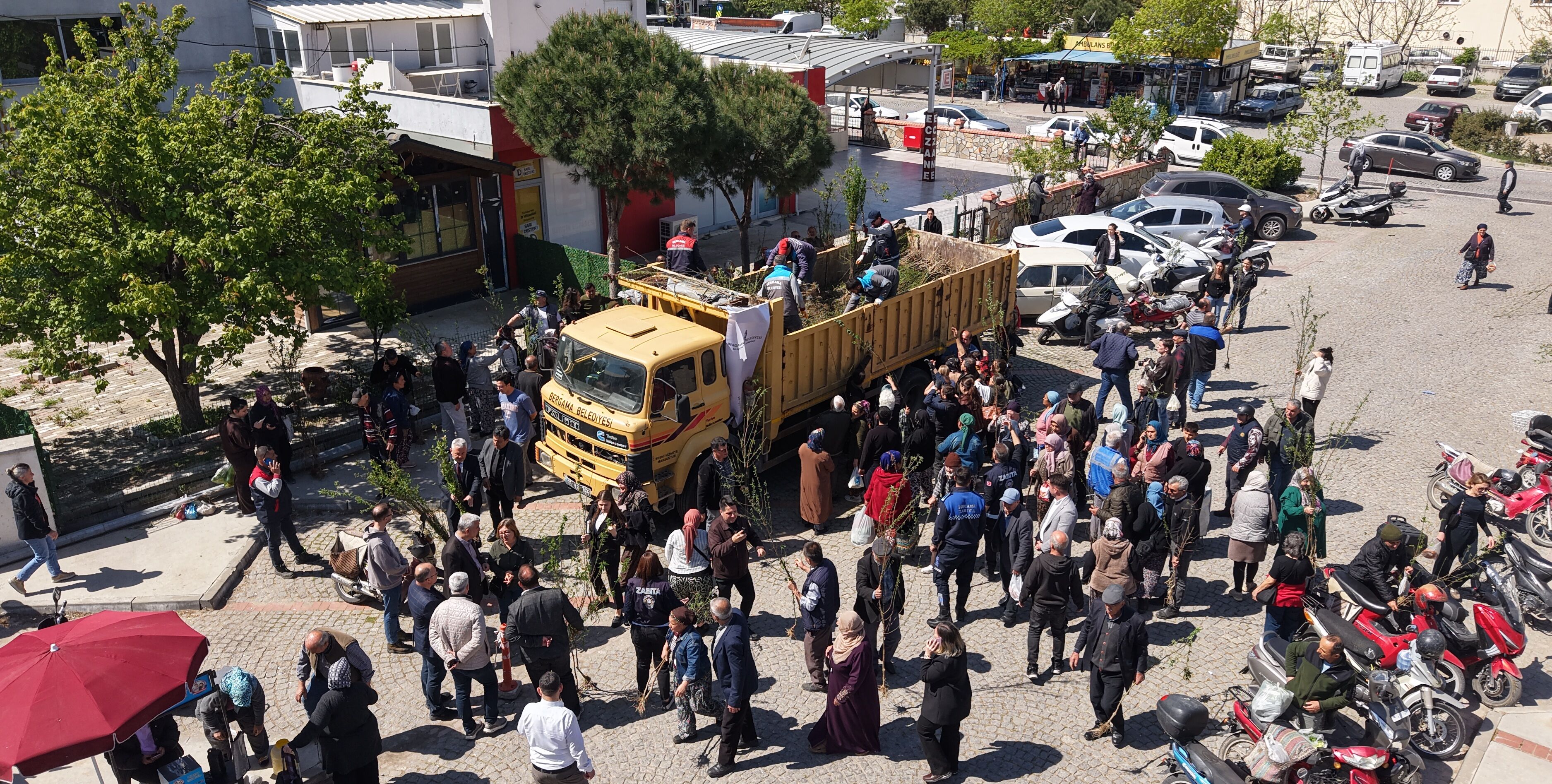 Bergama’da Üretime Destek Ahlat Ağaçları Aşılandı (2)