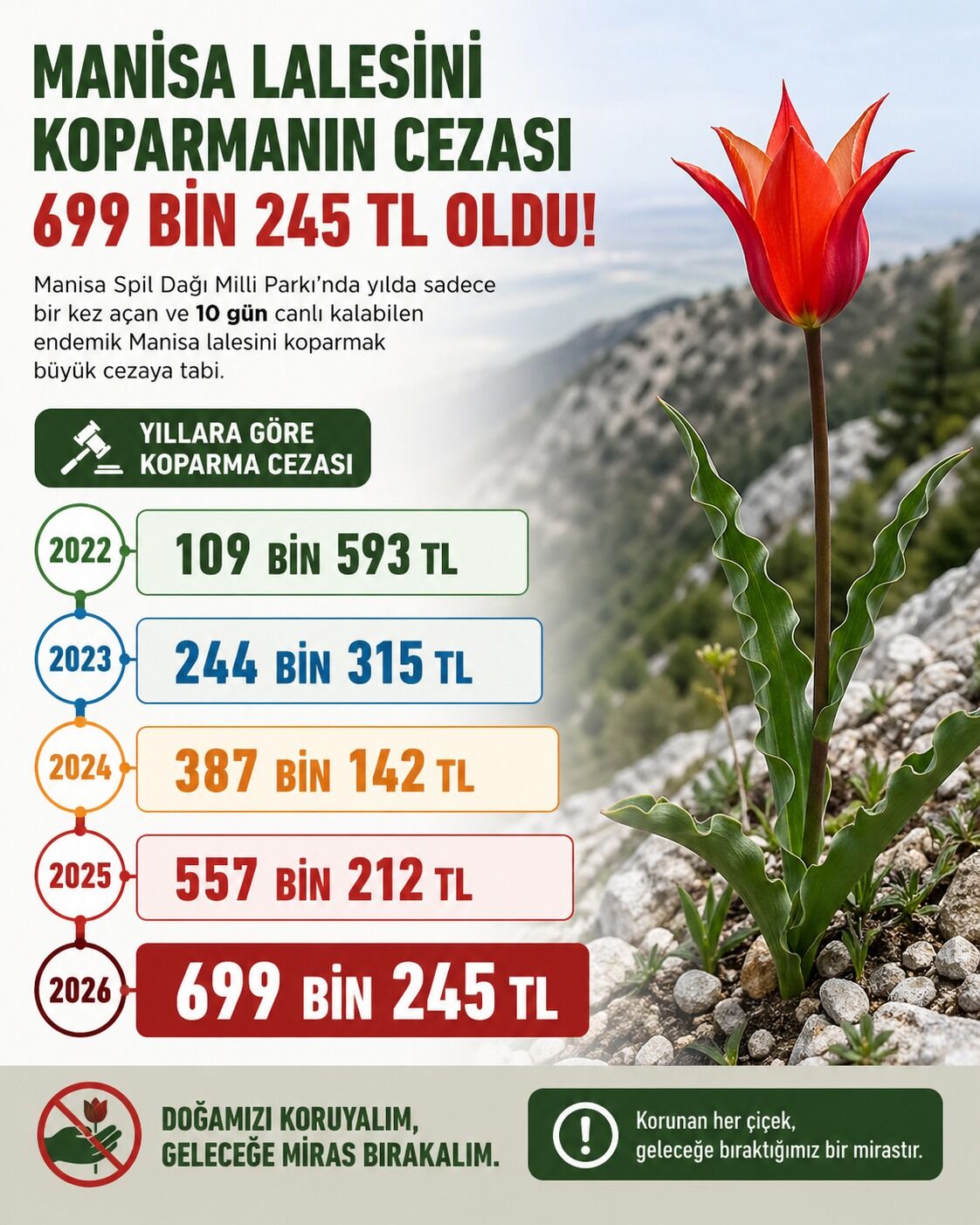 Bir Tanesini Bile Koparmanın Cezası Araba Bedeli Sakın Elinizi Sürmeyin!