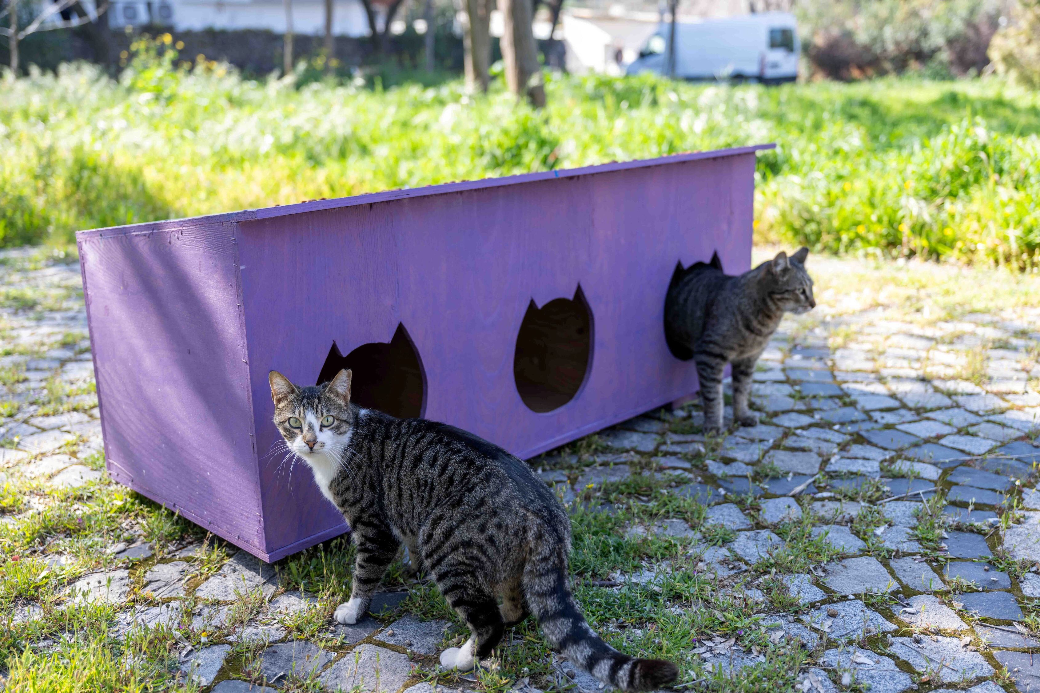 Bornova Belediyesi, (2)