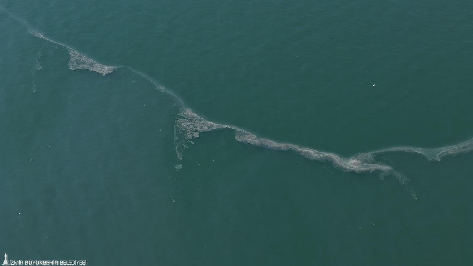 İzmir Körfezi Göz Göre Göre Kirletiliyor