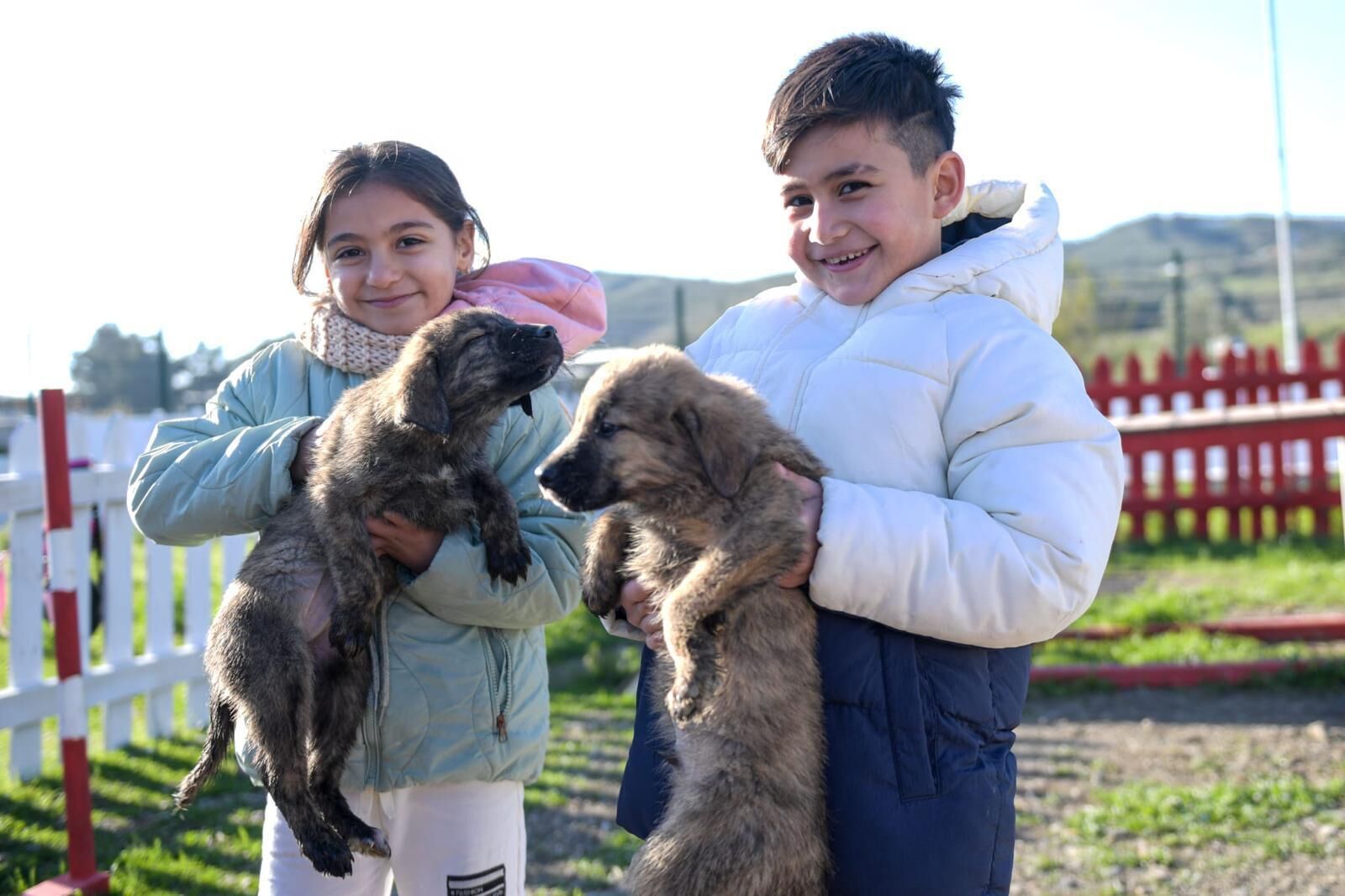 İzmir’de Barınaklardan 3 Bin 300 Sokak Hayvanı Sahiplendirildi (7)