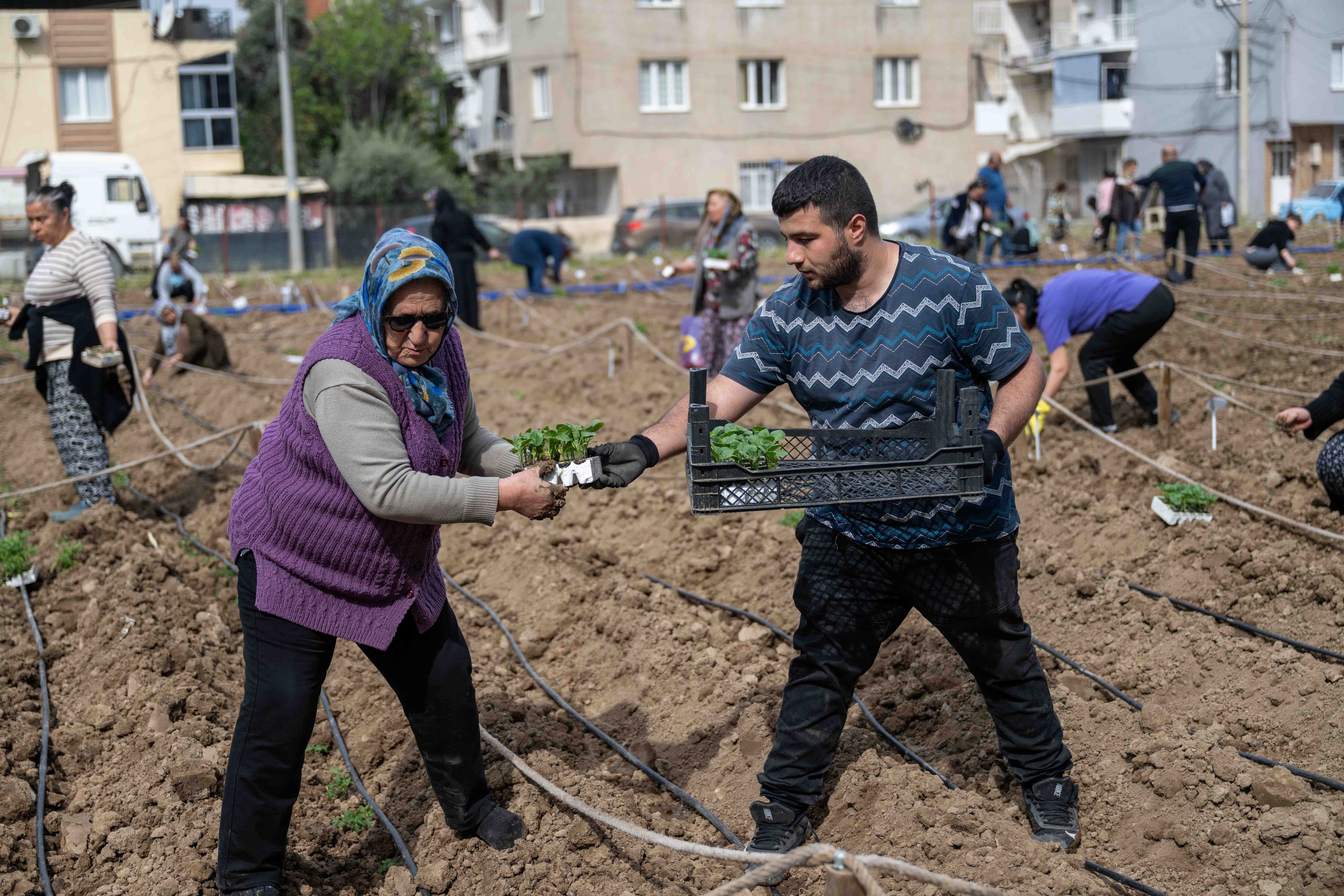 Kent Bostanlarında Yaz Sezonu Başladı (1)