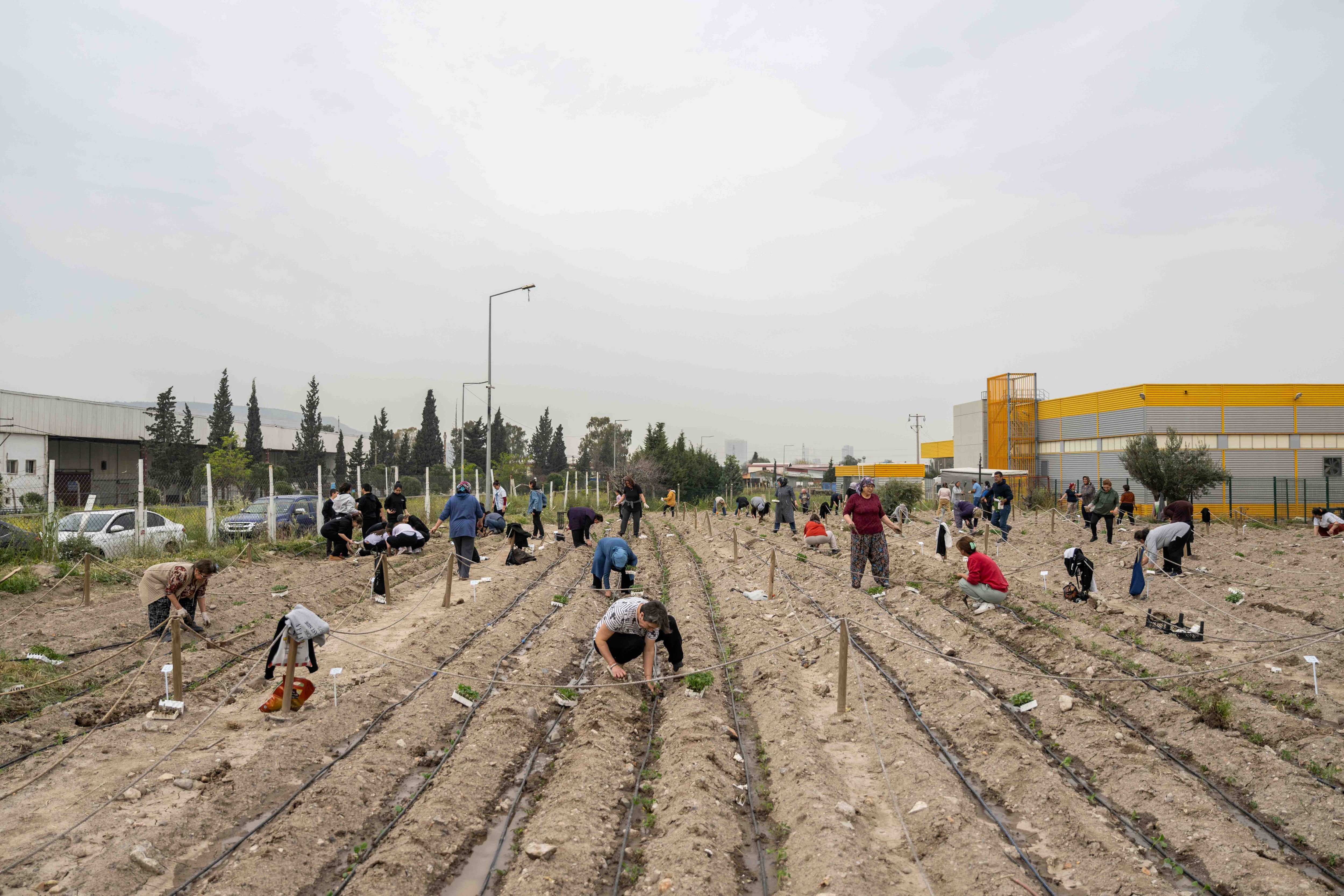 Kent Bostanlarında Yaz Sezonu Başladı (6)