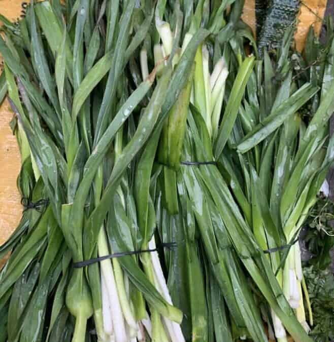 Körmen Otu Nasil Pişirilir 658X675