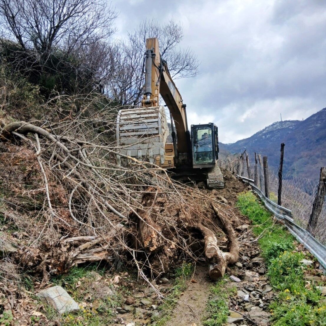 Odemis Bld Calisma (1) (1)