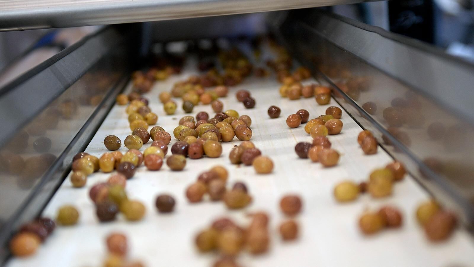 Olivtech Fuarı İzmir’de Kapılarını Açıyor (8)