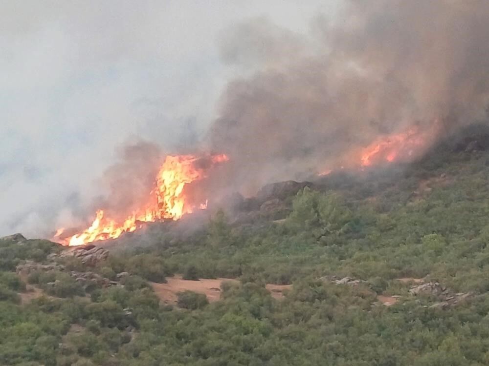 Orman Yangınlarına Karşı Tedbir Anız Yakmak Tamamen Yasaklandı! (2)