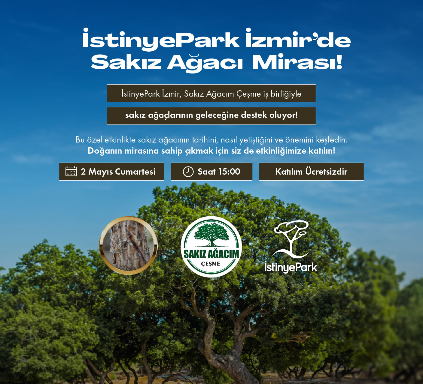 Sakız Ağacı Mirası İstinyepark İzmir'de Olacak