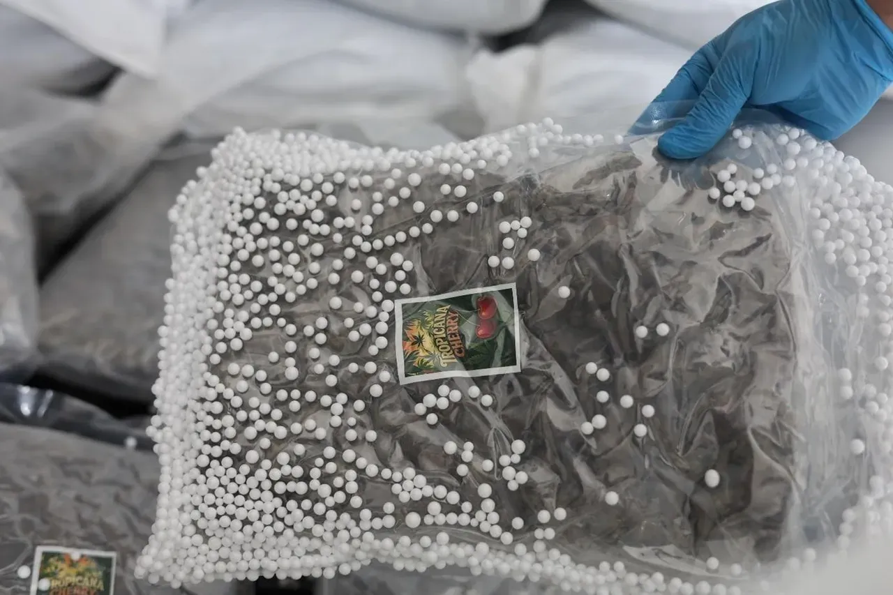 Türkiye Ve Suriye'den Ortak Narkotik Operasyonu! 1