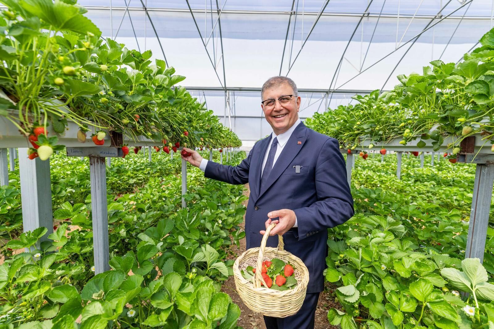 14 Mayıs Dünya Çiftçiler Günü kapsamında üreticilerin emeği ve kırsal kalkınmanın önemi bir kez daha gündeme gelirken, İzmir Büyükşehir Belediyesi kırsal kalkınmayı bütüncül biçimde ele alan Tarım Master Planı çalışmalarında son aşamaya ulaştı.