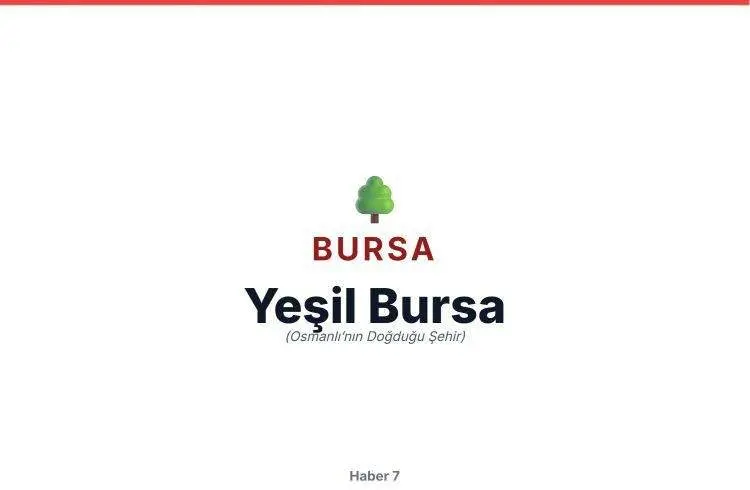 81 Ilin Lakapları Ortaya Çıktı!19
