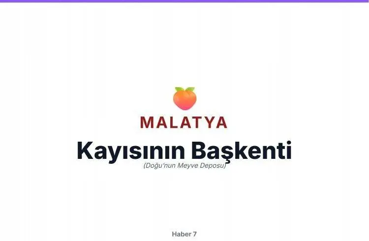 81 Ilin Lakapları Ortaya Çıktı!56