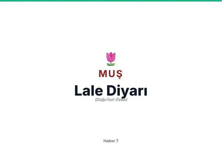 81 Ilin Lakapları Ortaya Çıktı!64