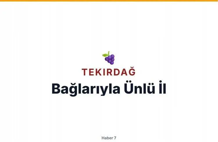 81 Ilin Lakapları Ortaya Çıktı!74