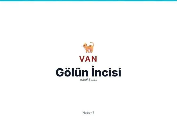 81 Ilin Lakapları Ortaya Çıktı!81