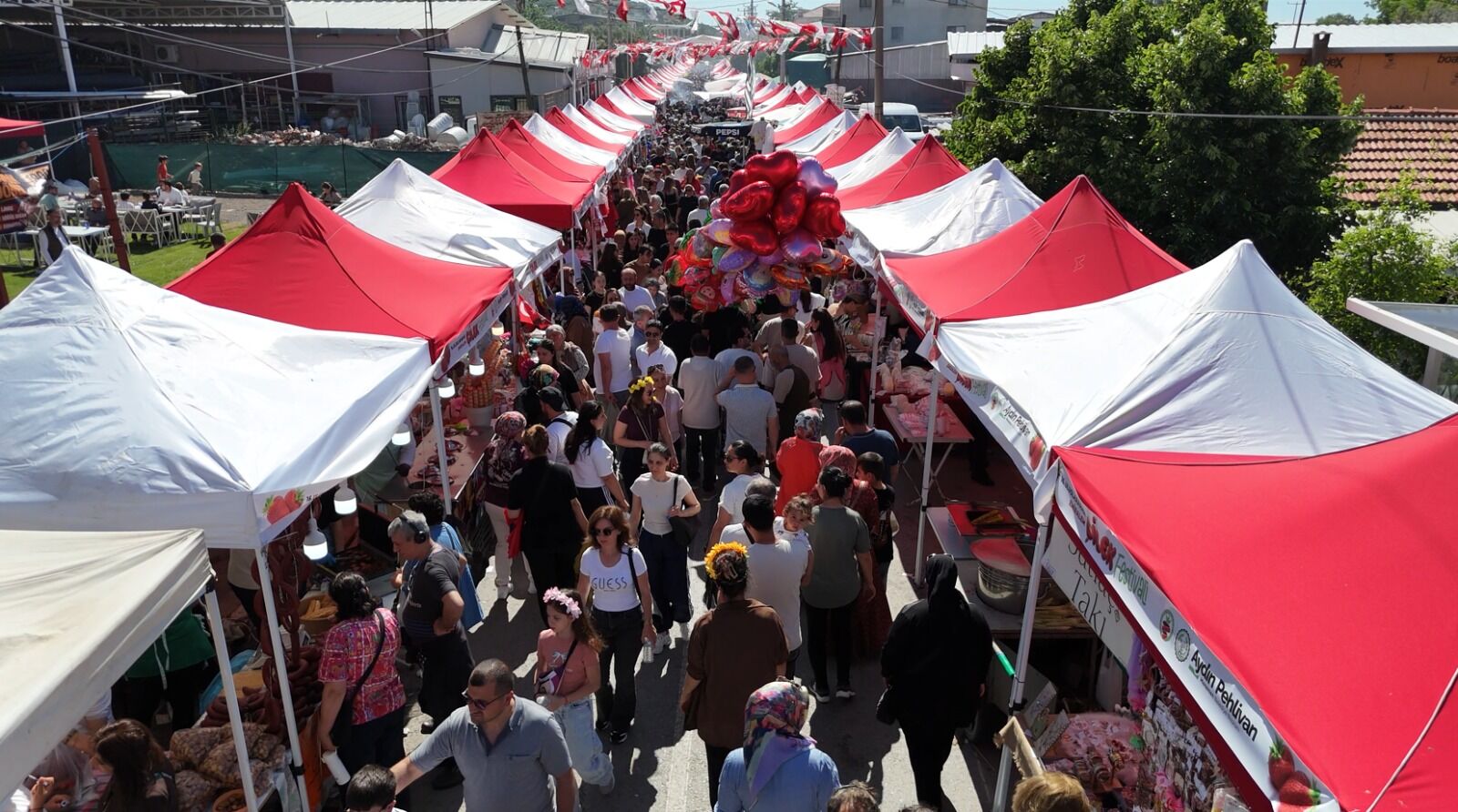 Çilek Tadında Festival, Milyonu Aşkın Misafir Ağırladı (5)