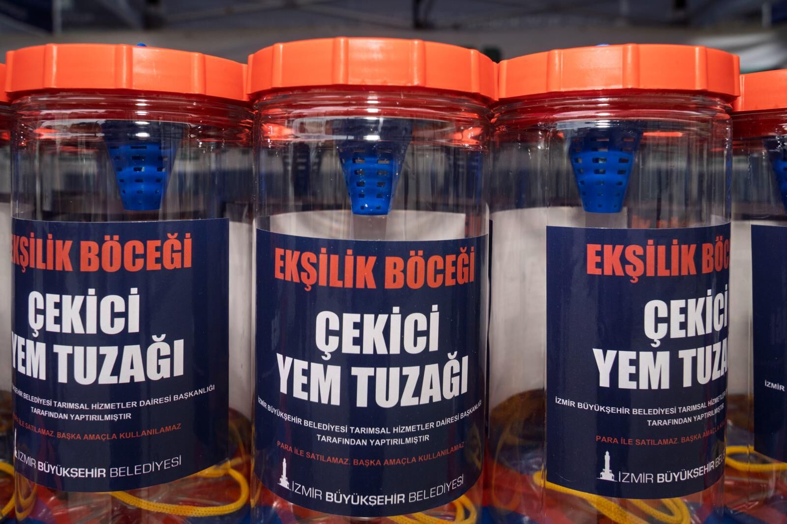 İzmir Büyükşehir’den Incir Üreticisine ‘Ekşilik Böceği’ Kalkanı! (4)