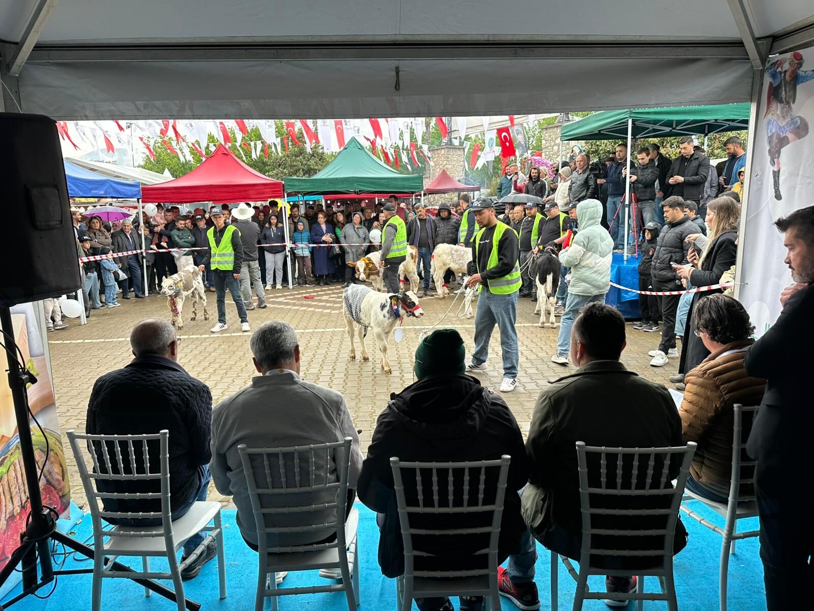 Ödemiş Tarım Fuarı Kapsamında Düzenlenen Buzağı Güzellik Yarışmasında Yetiştiriciler Emeklerini Sergiledi, Jüri Değerlendirmesiyle Kazananlar Açıklandı (1)