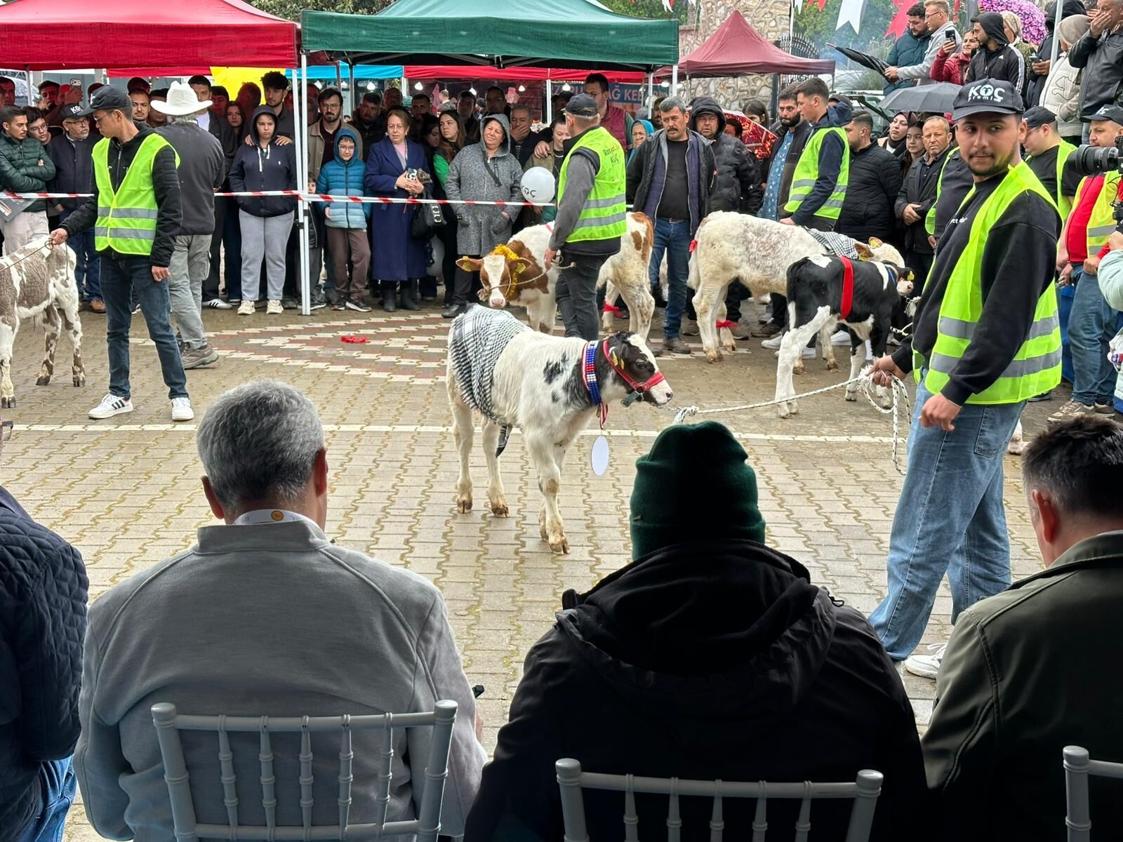Ödemiş Tarım Fuarı Kapsamında Düzenlenen Buzağı Güzellik Yarışmasında Yetiştiriciler Emeklerini Sergiledi, Jüri Değerlendirmesiyle Kazananlar Açıklandı (3)
