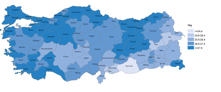 Ortalama Anne Yaş