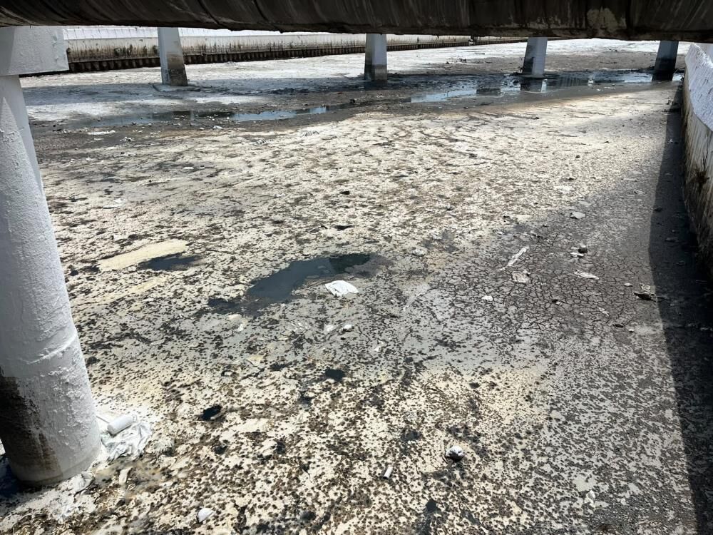 Başdaş'tan Meles Tepkisi ‘Koku Yüzünden Maskesiz Duramıyoruz!’ (2)