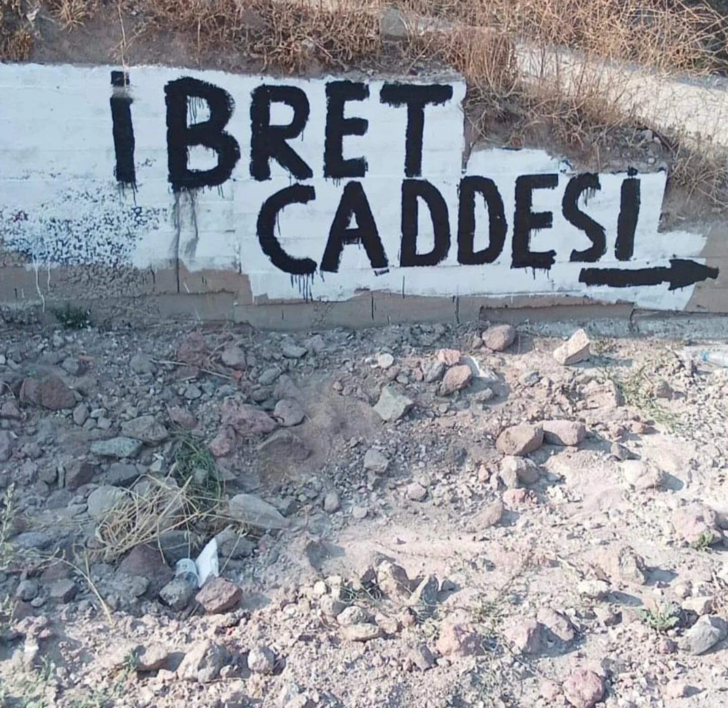 'İzmir'de Bozuk Yol Isyan Ettirdi (4)
