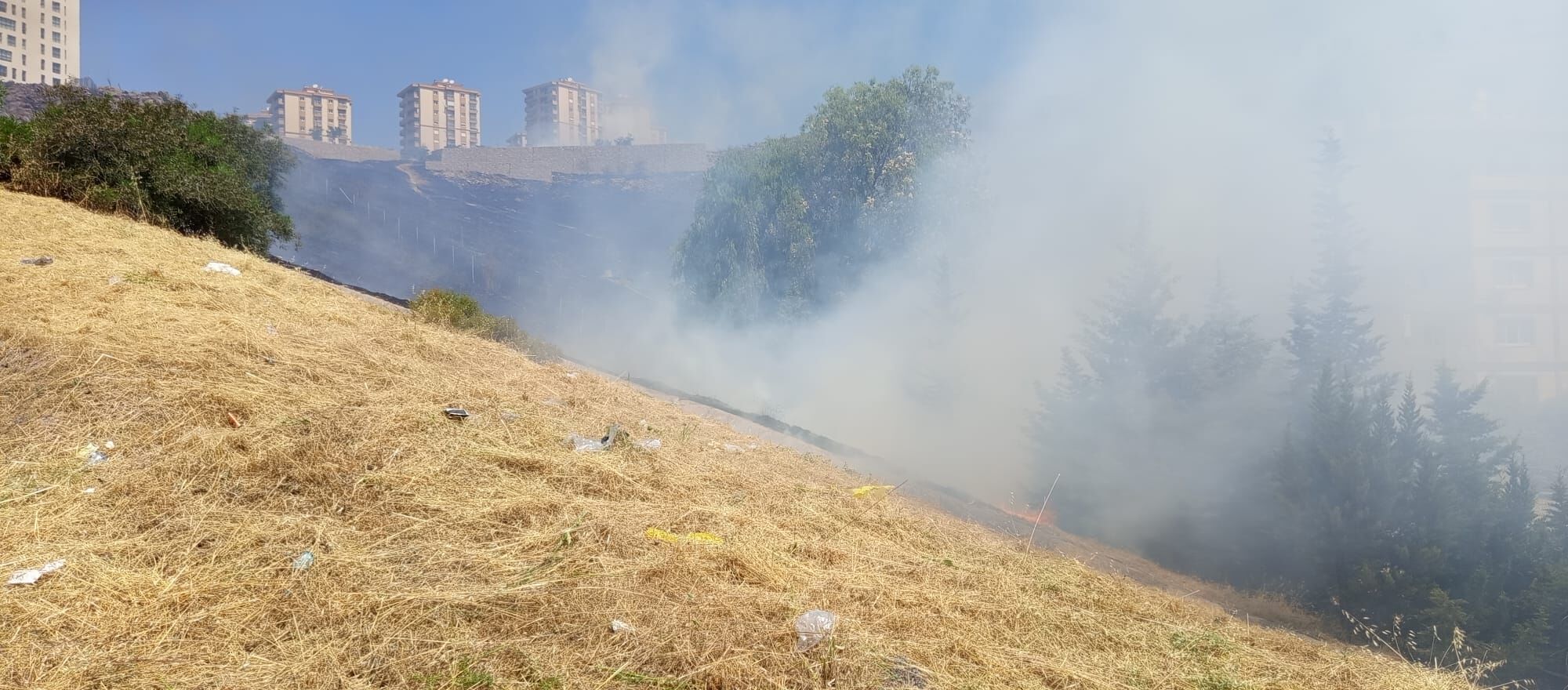 Karşıyaka Ynagın (3)