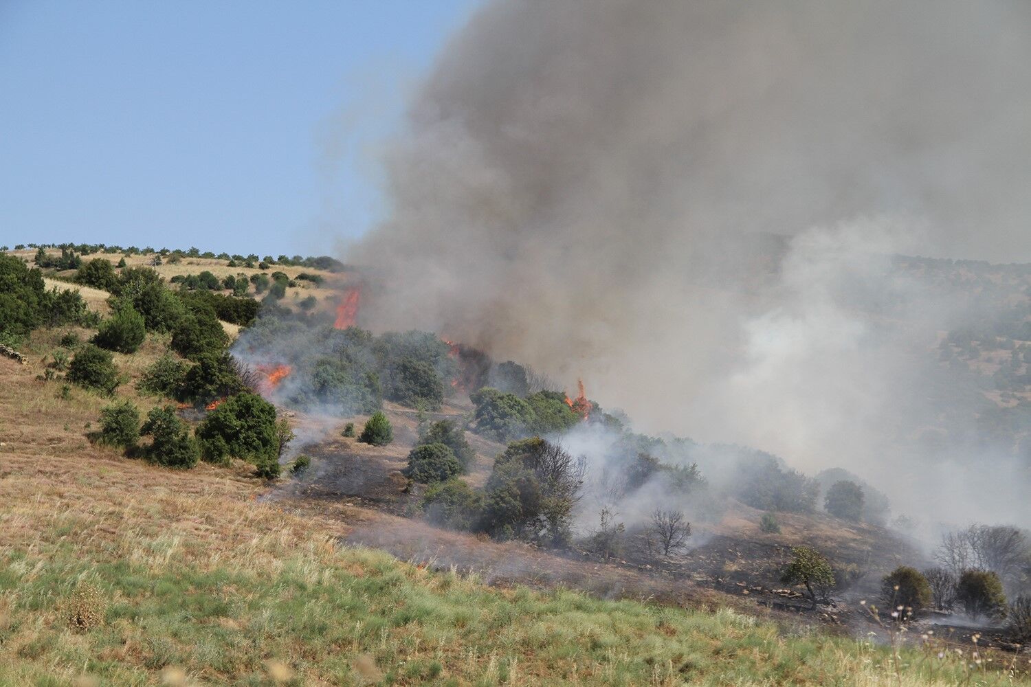 Manisa'nın Kula Ilçesinde Makilik Alanda Çıkan Yangın, Ekiplerin Karadan Ve Havadan Müdahalesiyle Kontrol Altına Alındı. (1)
