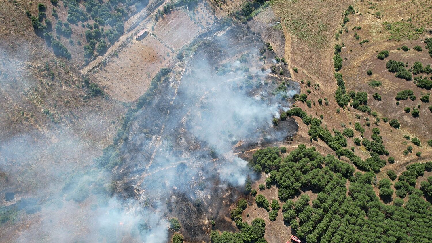 Manisa'nın Kula Ilçesinde Makilik Alanda Çıkan Yangın, Ekiplerin Karadan Ve Havadan Müdahalesiyle Kontrol Altına Alındı. (5)