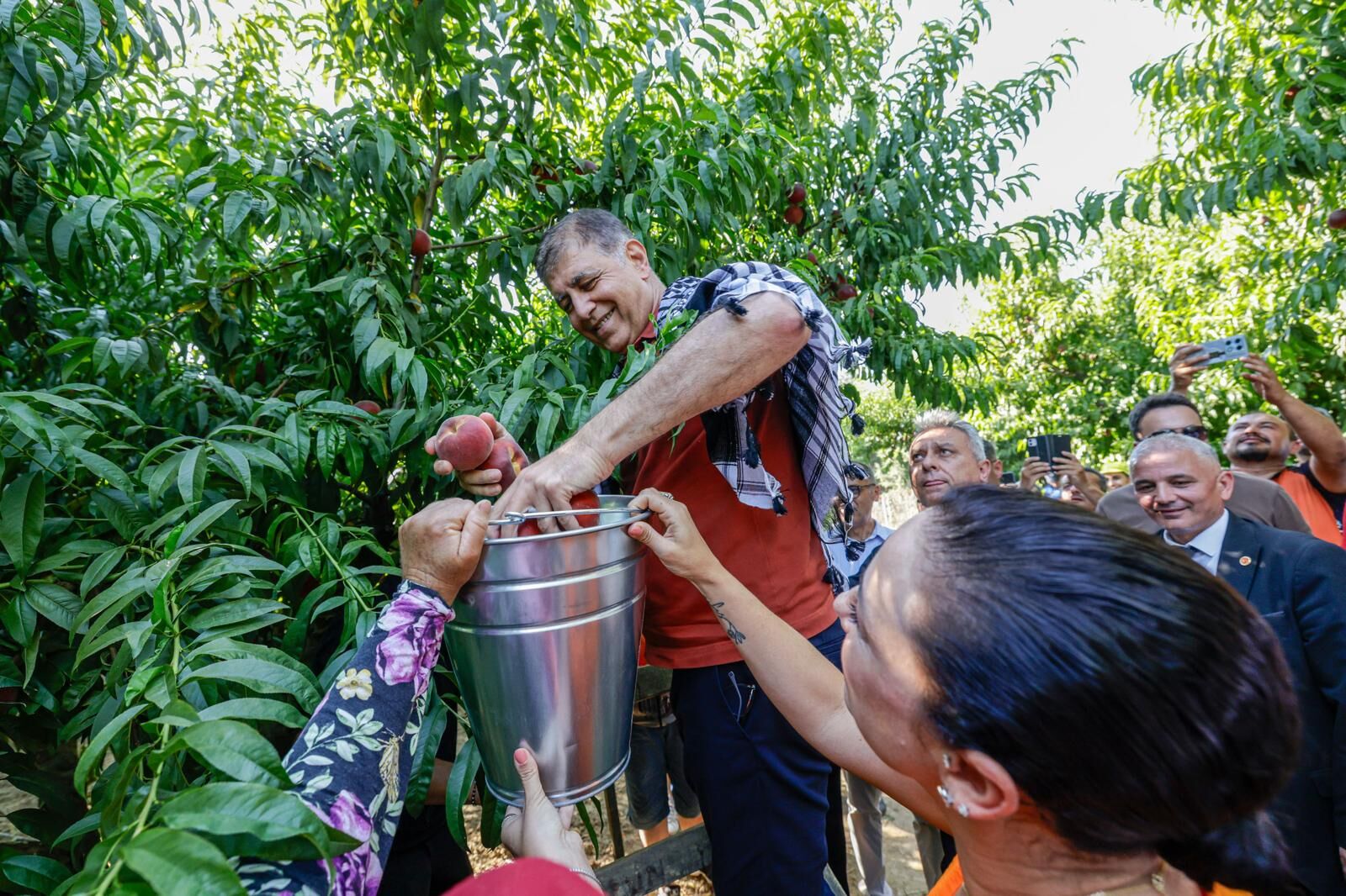 Selçuk'ta Şen Şeftali Şenliği Yeniden Hayat Buldu (2)