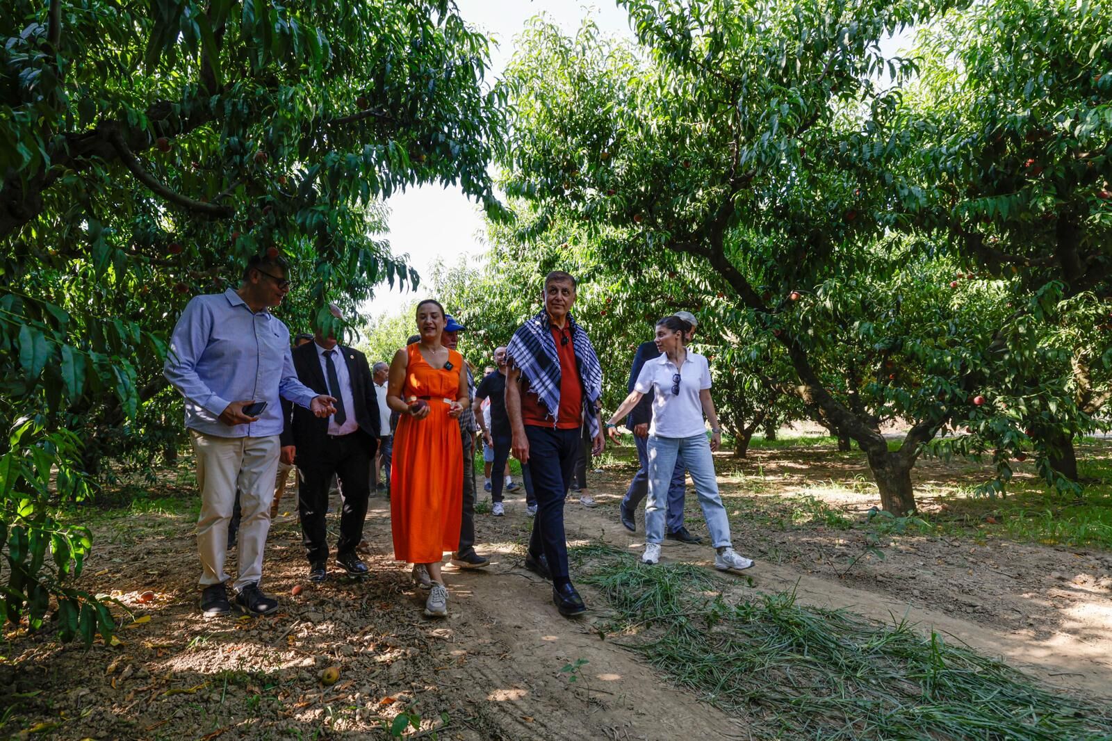 Selçuk'ta Şen Şeftali Şenliği Yeniden Hayat Buldu (5)