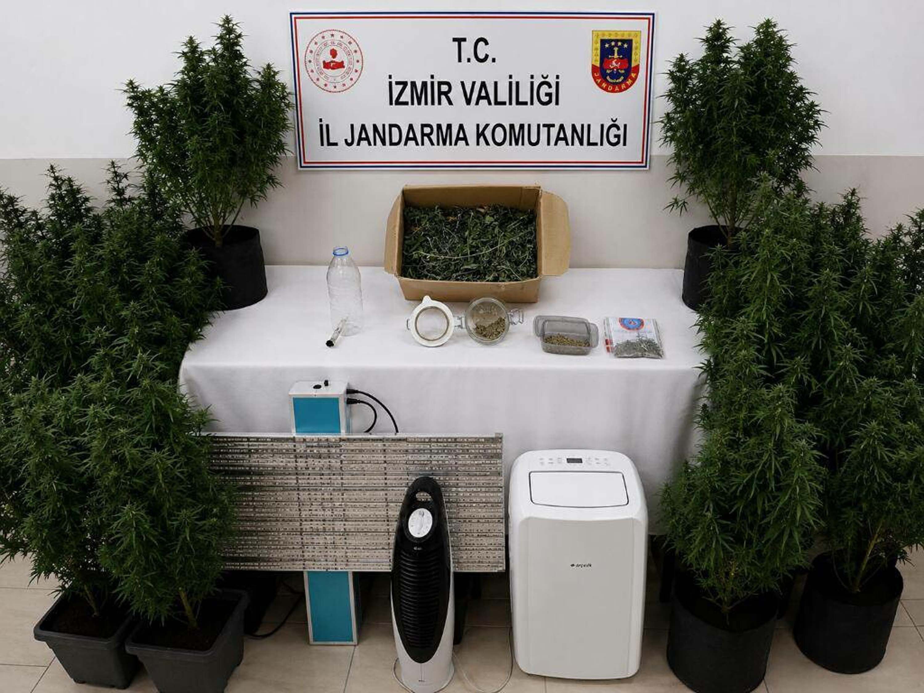 25 Yıllık Firari (2)